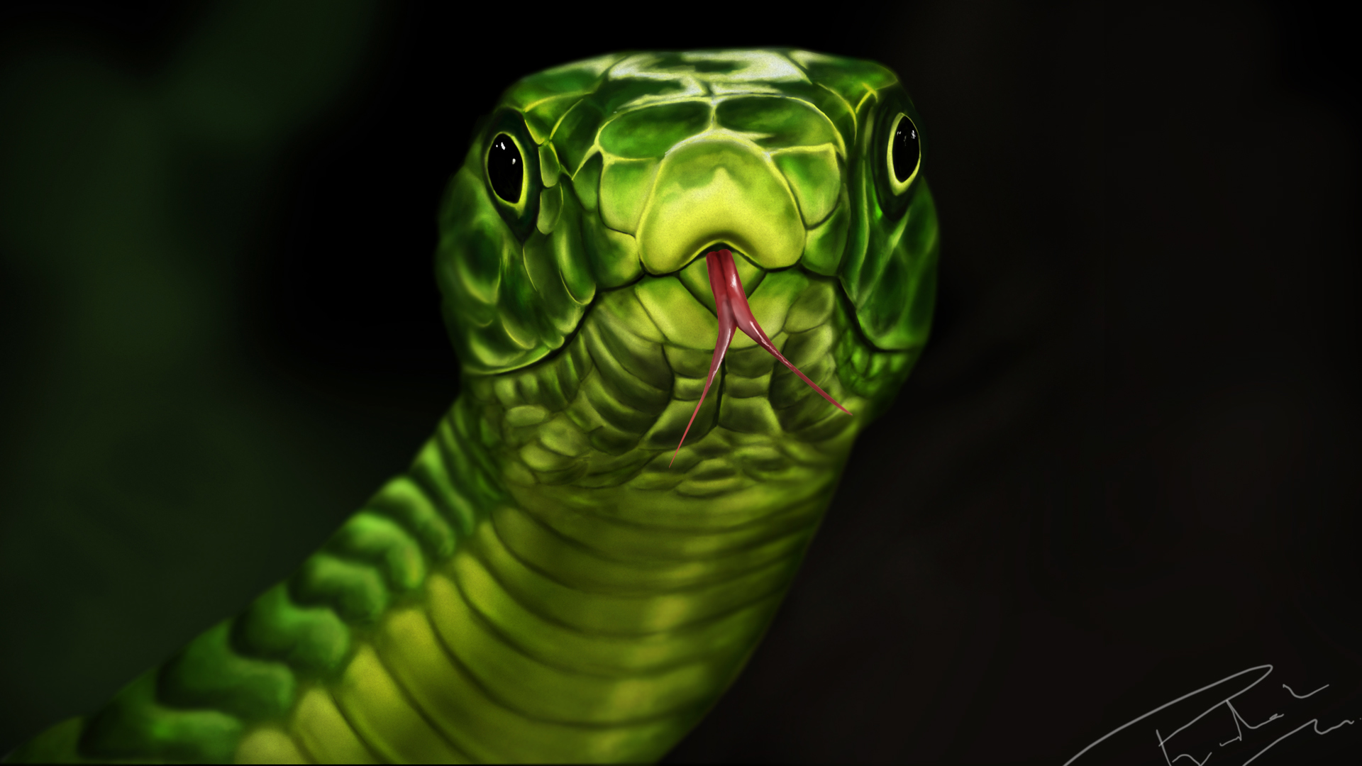 snake-hd1.jpg